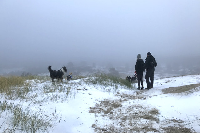 21-dogwalktrail-nederland-wandelen-hond-sneeuw