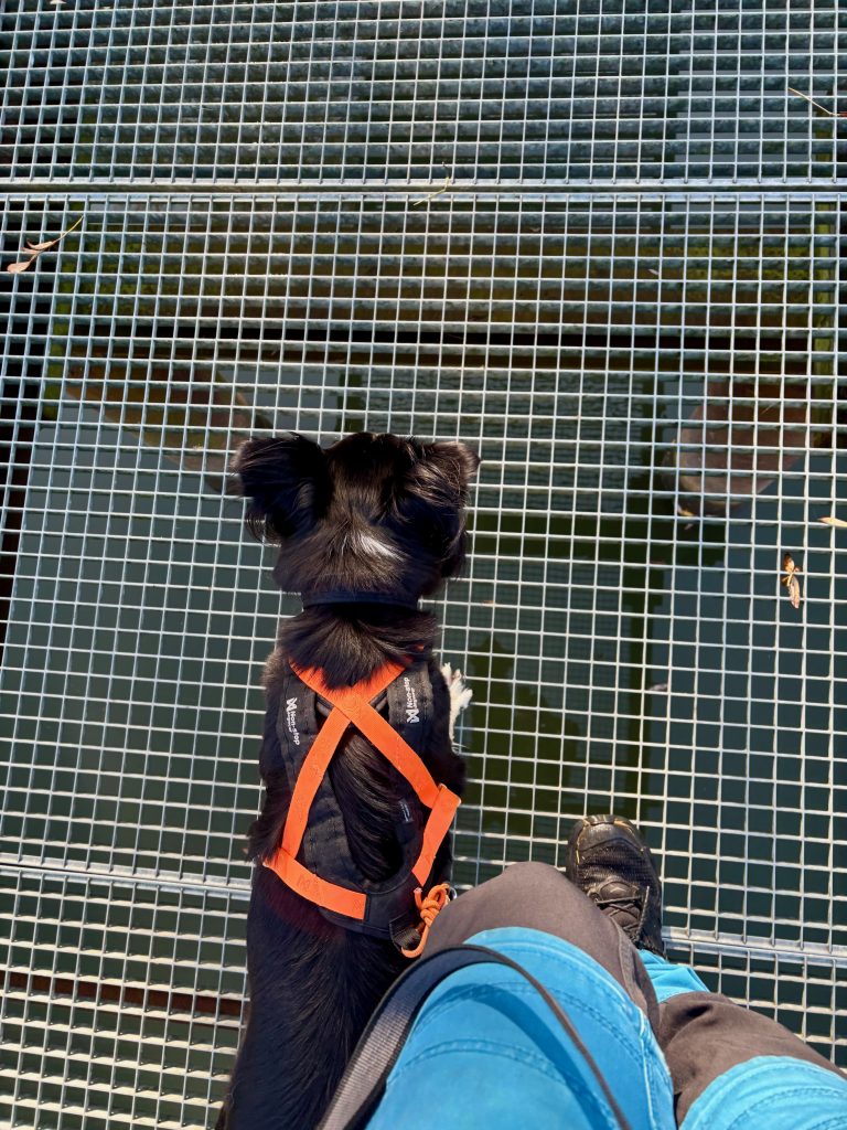 Biesbosch wandeling jantjeplaat en Deeneplaat roosterbrug 1