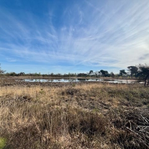 Strijbeek smokkelwandeling